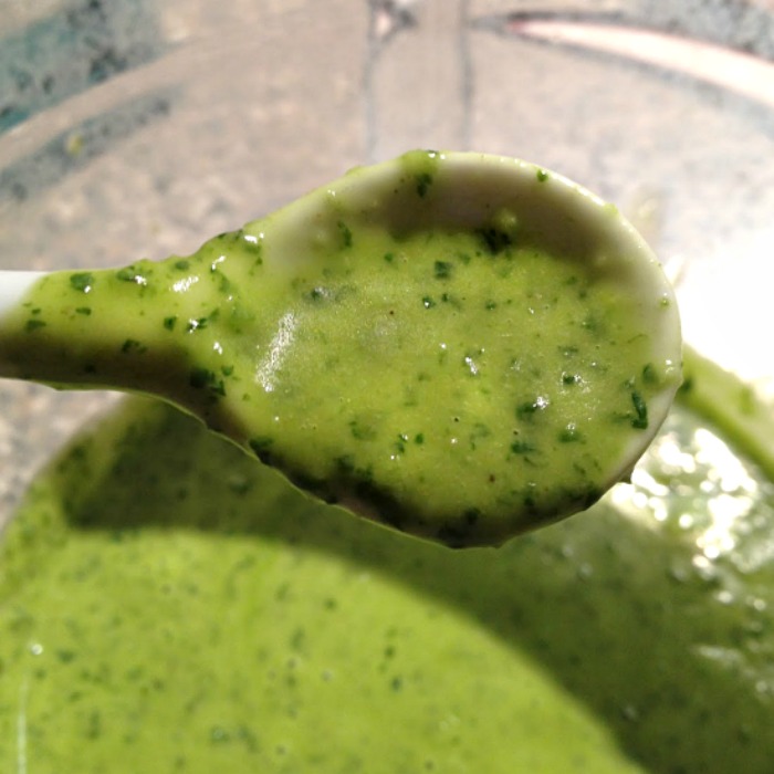 Creamy Avocado Sauce on a spoon